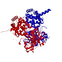 Image of CATH 3hy1