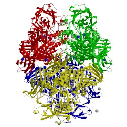 Image of CATH 3i3b