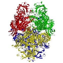 Image of CATH 3iaq