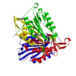 Image of CATH 3ibc