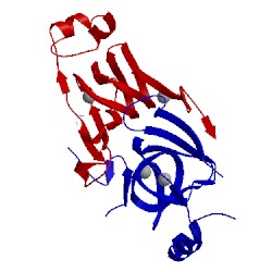 Image of CATH 3ibm