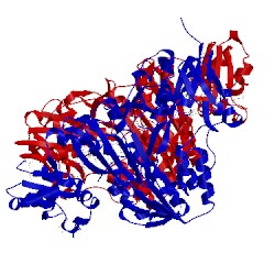 Image of CATH 3ict