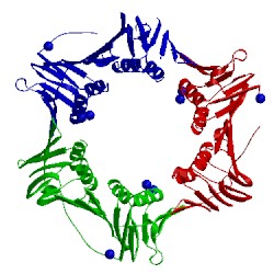 Image of CATH 3ifv