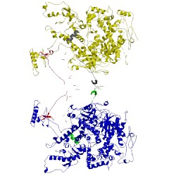 Image of CATH 3ikm