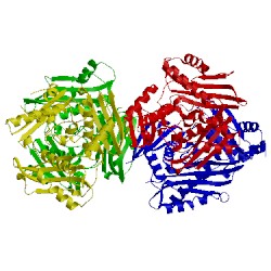 Image of CATH 3iml