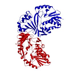 Image of CATH 3inr