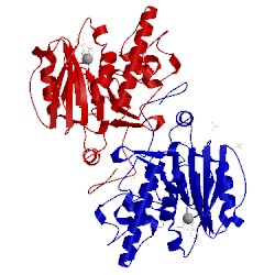 Image of CATH 3ioj