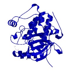 Image of CATH 3iop