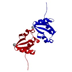 Image of CATH 3ipj