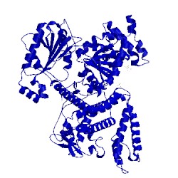 Image of CATH 3iqm