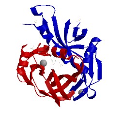 Image of CATH 3irb