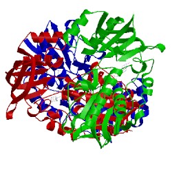 Image of CATH 3ish