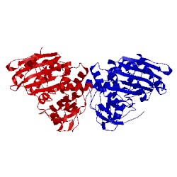 Image of CATH 3iwq