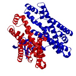 Image of CATH 3jv3