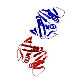 Image of CATH 3jwf