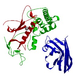 Image of CATH 3k3q