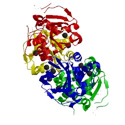 Image of CATH 3kw0