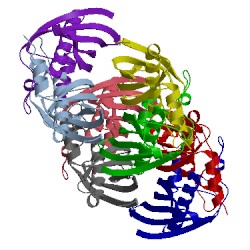 Image of CATH 3kw1