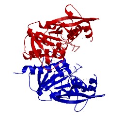 Image of CATH 3kw2