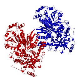 Image of CATH 3kx2