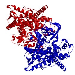 Image of CATH 3kx3