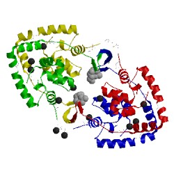 Image of CATH 3kxa