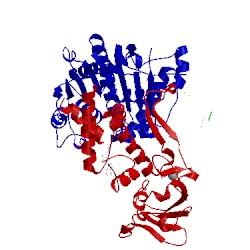 Image of CATH 3kyd