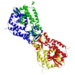 Image of CATH 3l09