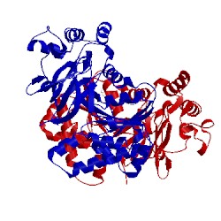 Image of CATH 3l2k