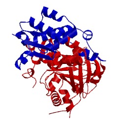 Image of CATH 3l2o