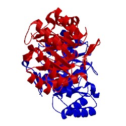 Image of CATH 3lb0