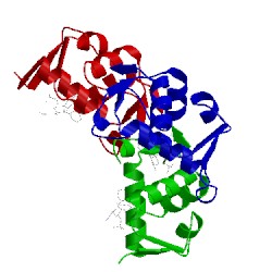 Image of CATH 3lbl