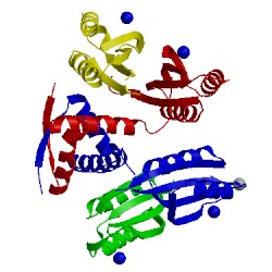 Image of CATH 3lgh