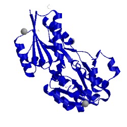 Image of CATH 3lkv