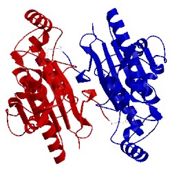 Image of CATH 3ll4