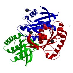 Image of CATH 3lo5