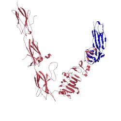 Image of CATH 3loh