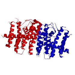 Image of CATH 3lom