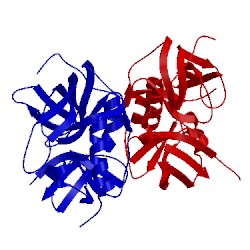 Image of CATH 3lt3