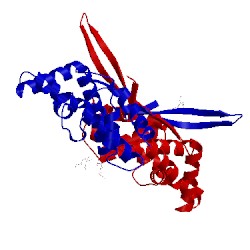 Image of CATH 3lyq