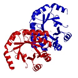 Image of CATH 3m43