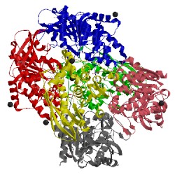 Image of CATH 3m83