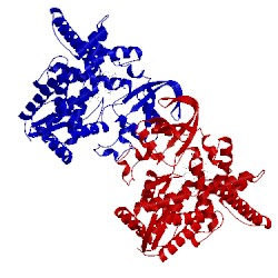 Image of CATH 3mdv