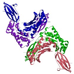 Image of CATH 3mgt