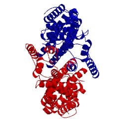 Image of CATH 3mmi