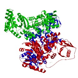 Image of CATH 3mog