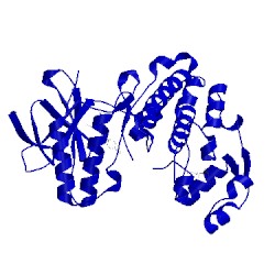 Image of CATH 3mpa