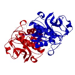 Image of CATH 3mpf