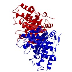 Image of CATH 3myo