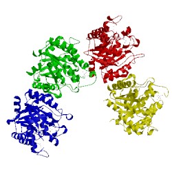 Image of CATH 3myp